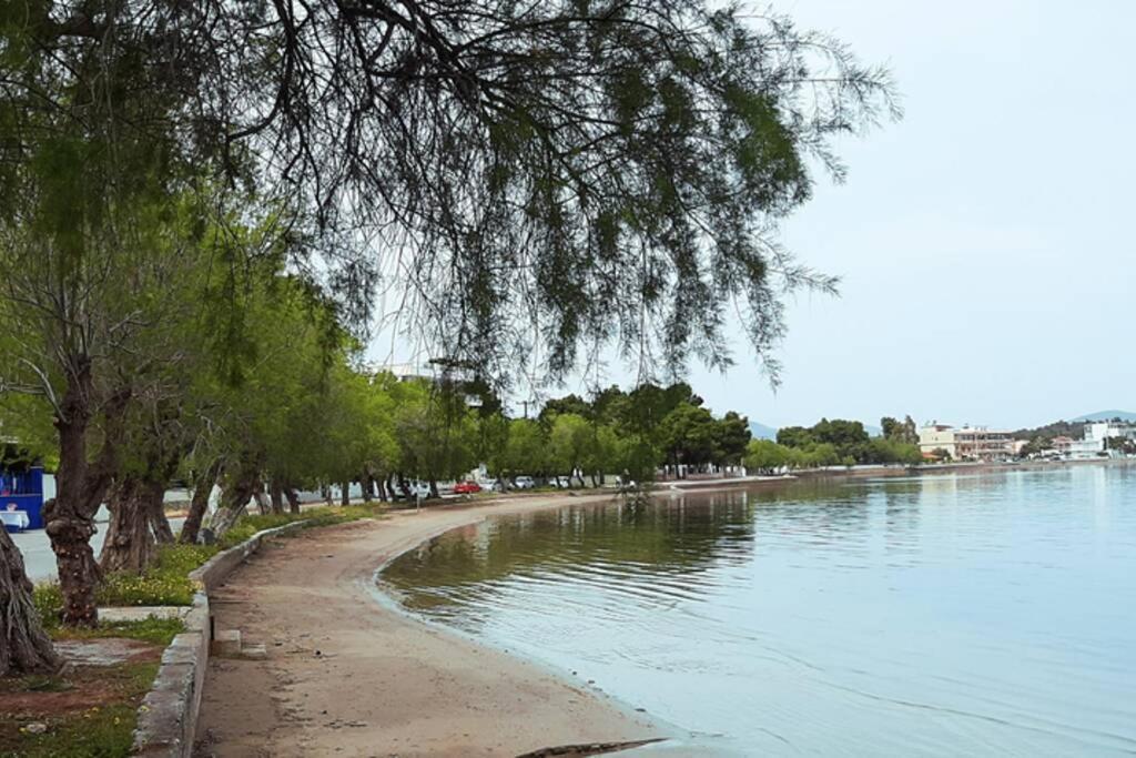 Πολυτελές Διαμέρισμα 3 Χαλκίδα-Παραλία Αυλίδος Paralia Avlidhos Exterior foto