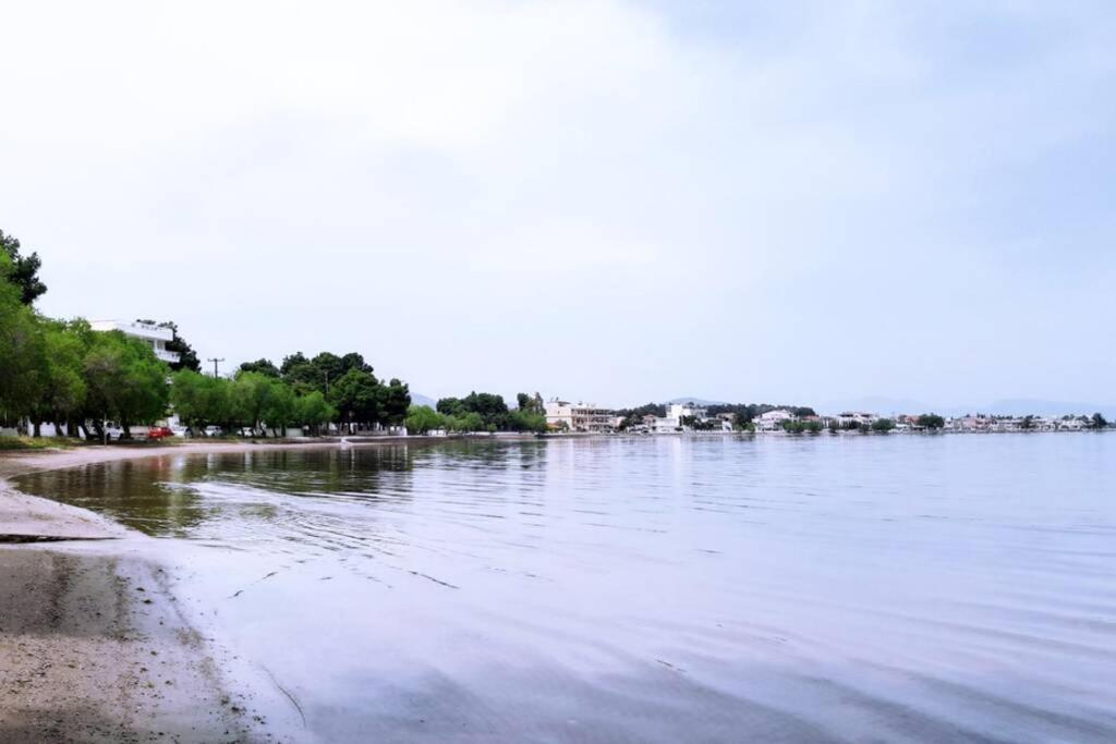 Πολυτελές Διαμέρισμα 3 Χαλκίδα-Παραλία Αυλίδος Paralia Avlidhos Exterior foto